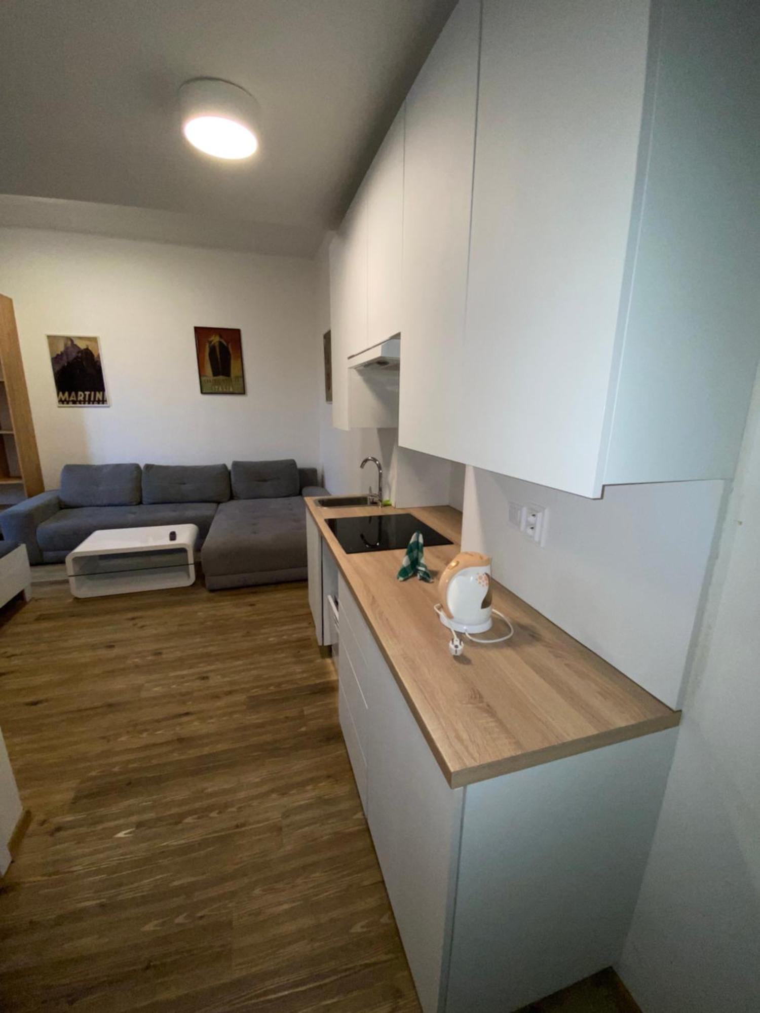 Garsoniera Ostrava City Centr, Na Hradbach 118 外观 照片